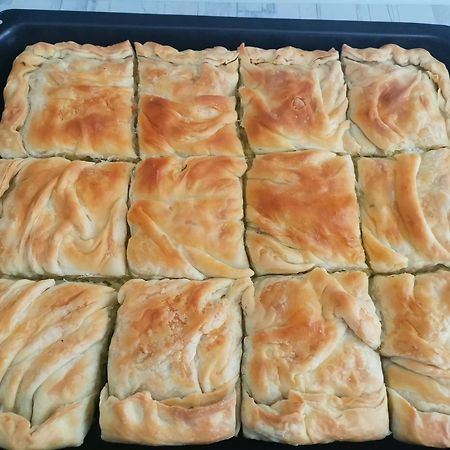 Guesthouse Zimovski Peštani 外观 照片