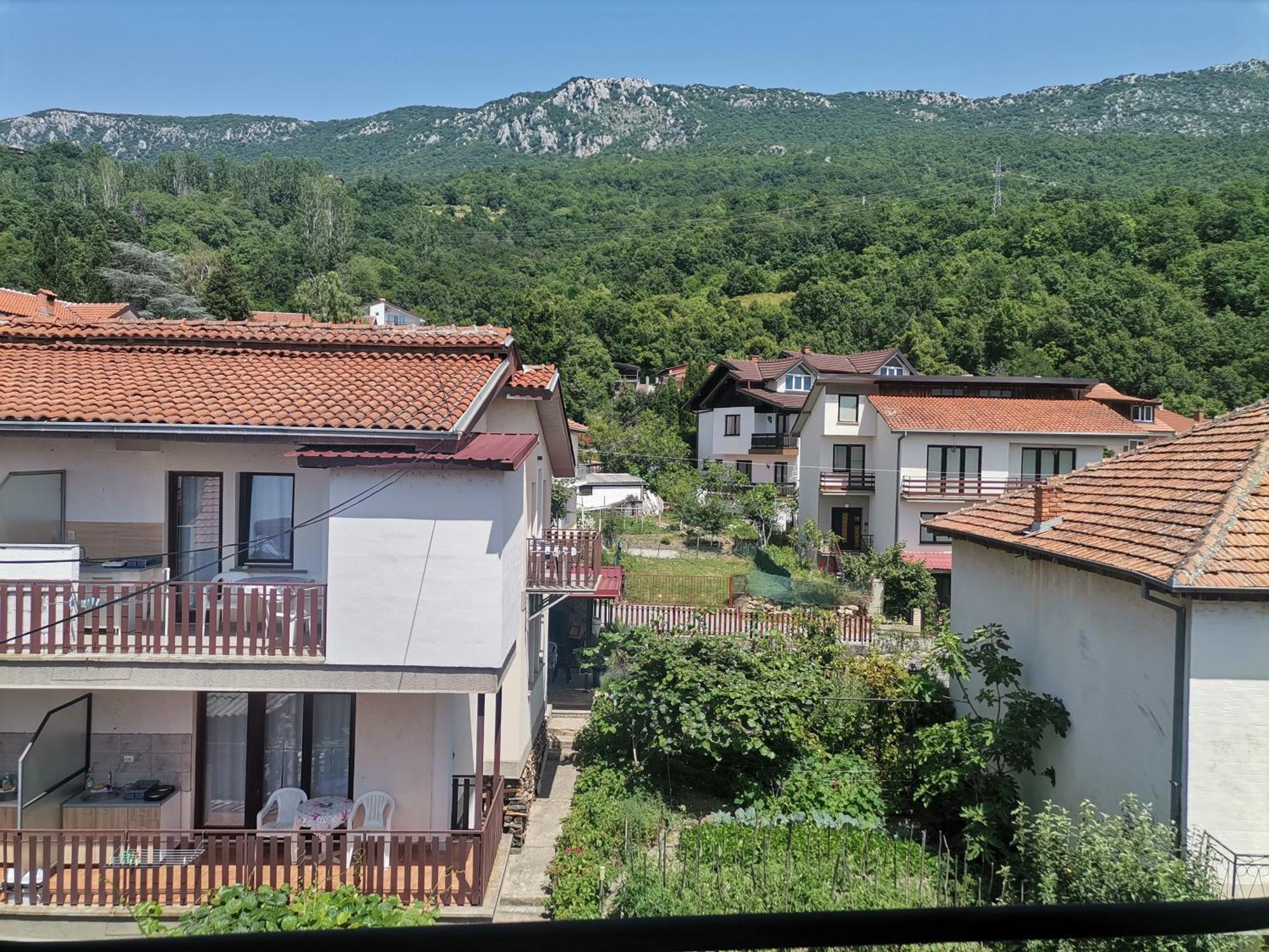 Guesthouse Zimovski Peštani 外观 照片