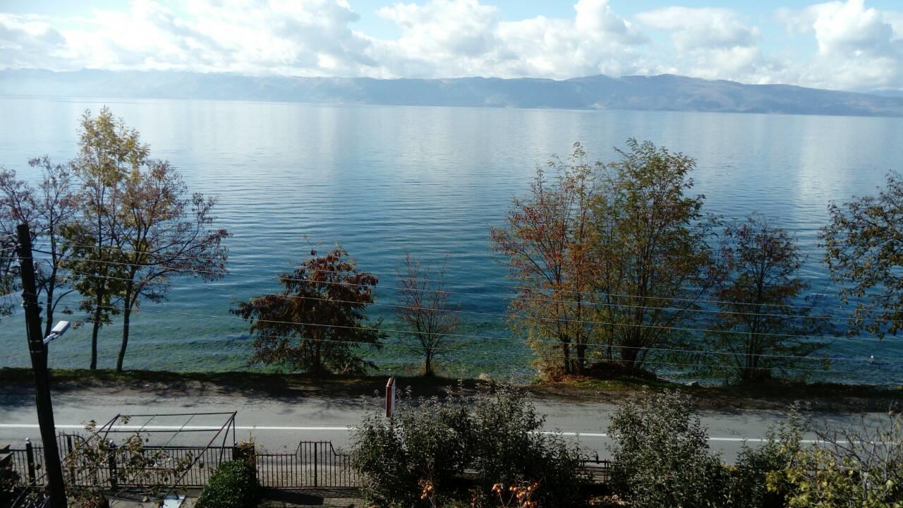 Guesthouse Zimovski Peštani 外观 照片