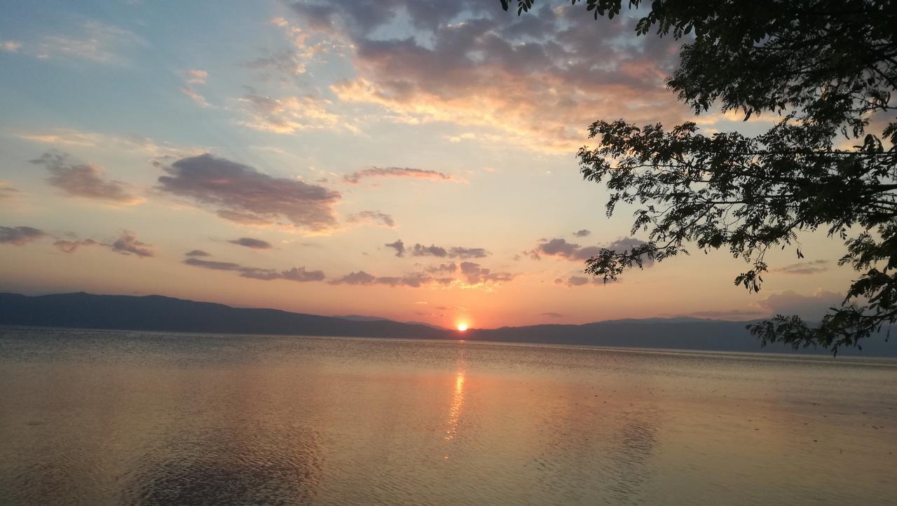 Guesthouse Zimovski Peštani 外观 照片