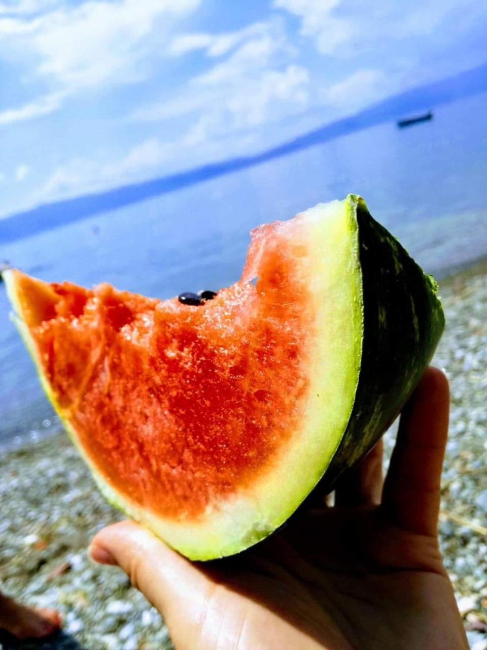 Guesthouse Zimovski Peštani 外观 照片