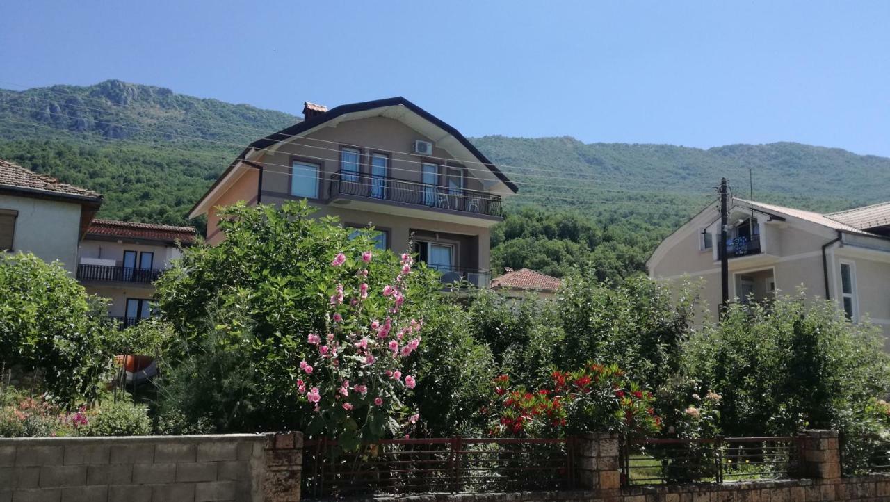 Guesthouse Zimovski Peštani 外观 照片
