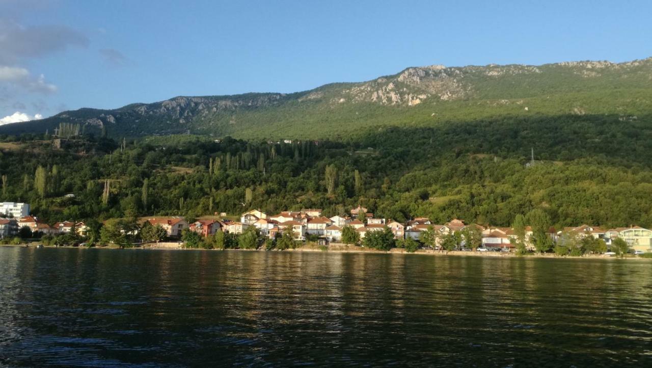 Guesthouse Zimovski Peštani 外观 照片