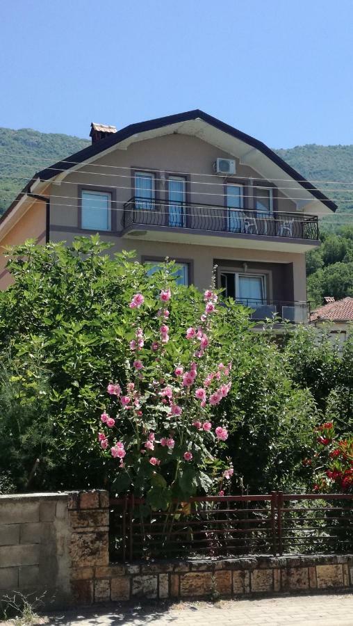 Guesthouse Zimovski Peštani 外观 照片